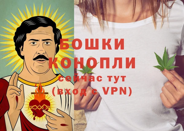 бошки Алексин