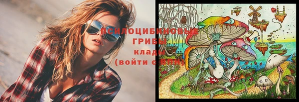прущая мука Алзамай