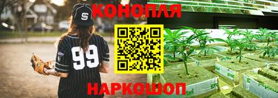 шишки Азнакаево