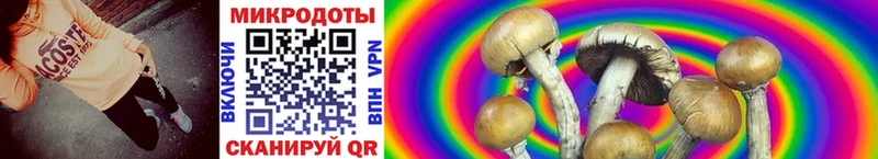 Псилоцибиновые грибы GOLDEN TEACHER  Алушта 