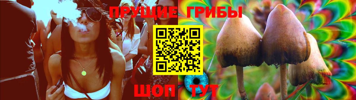 Галлюциногенные грибы Psilocybine cubensis Алушта
